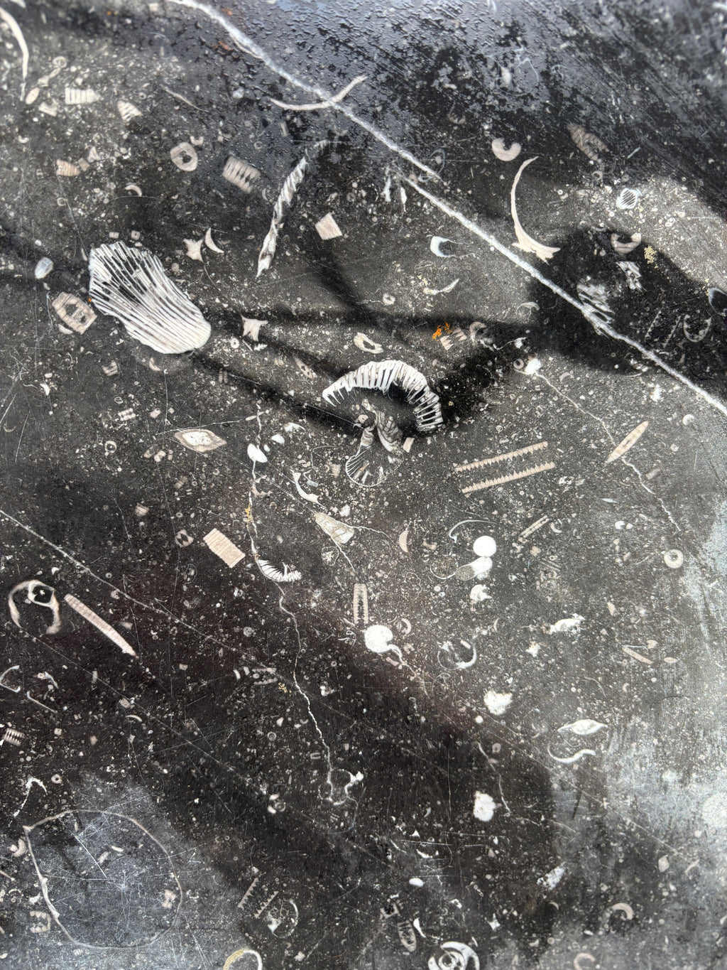 Antique cupboard with fossil slate top